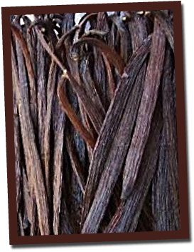 vanillabeans